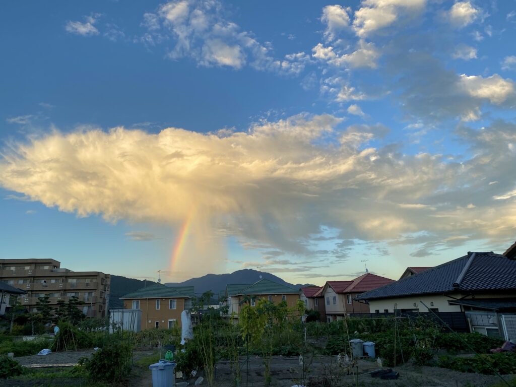 雲と大地が一本で繋がった虹