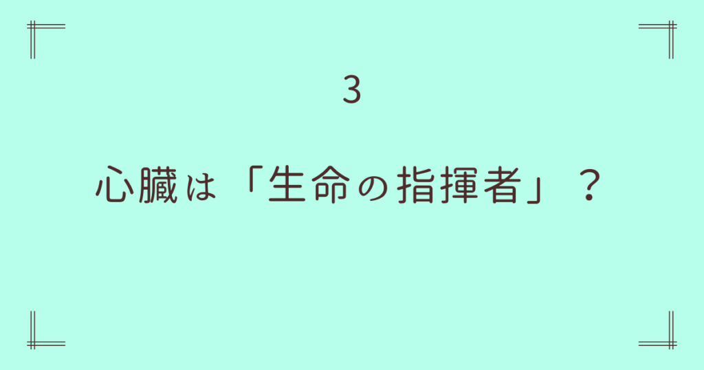 3. 心臓は「生命の指揮者」？ ― 周囲を導き、体を作り上げる