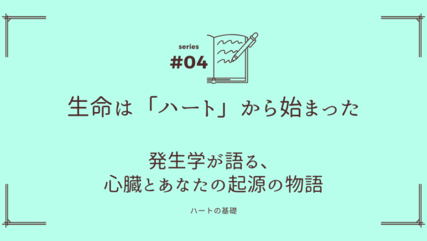 生命は「ハート」から始まった：発生学が語る、心臓とあなたの起源の物語