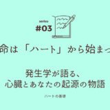 生命は「ハート」から始まった：発生学が語る、心臓とあなたの起源の物語