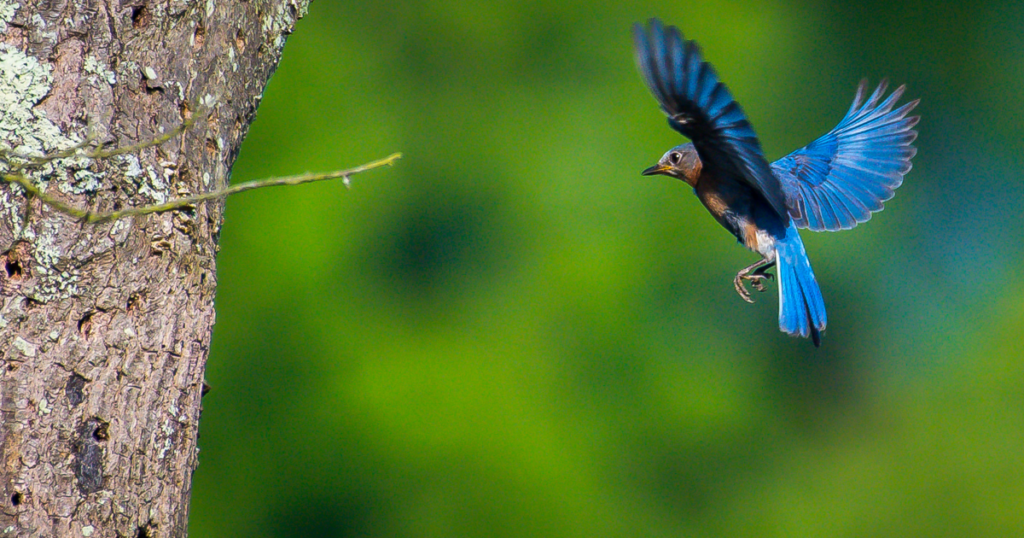 なぜ「すでに在る愛」は見えなくなるのか。脳の生存戦略という落とし穴