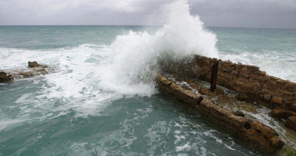 さいごに｜抑圧と和解して、ありのままの自分へ