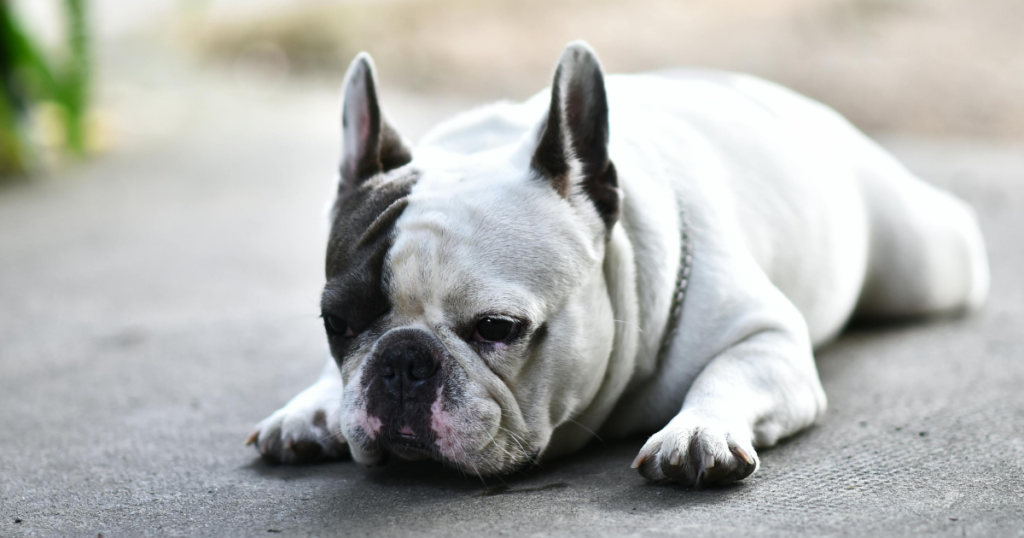 防衛機制の「抑圧」とは？心が記憶ごと沈めてしまう仕組み